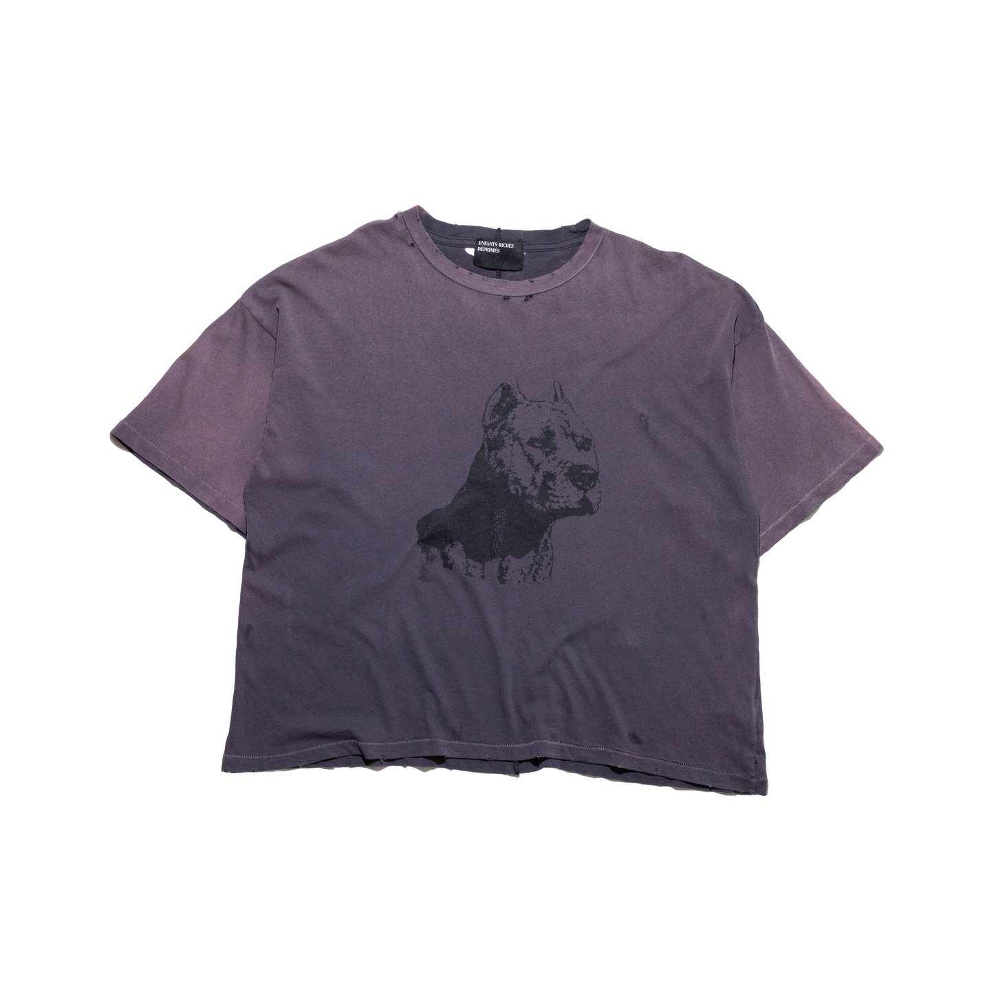 NA PITBULL T-SHIRT (EXCLUSIVE)