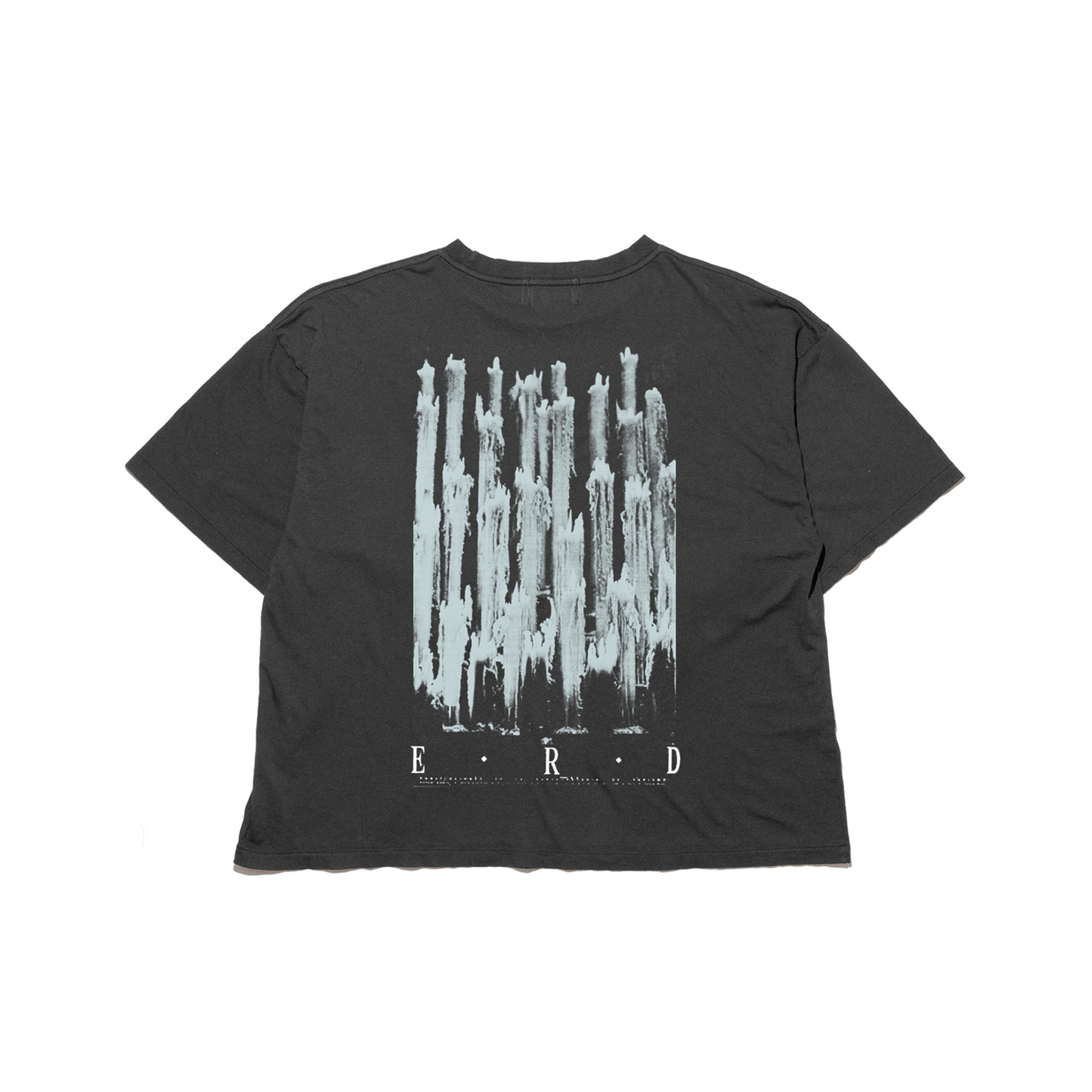 DJAGILEV'S GRAVE T-SHIRT (EXCLUSIVE)