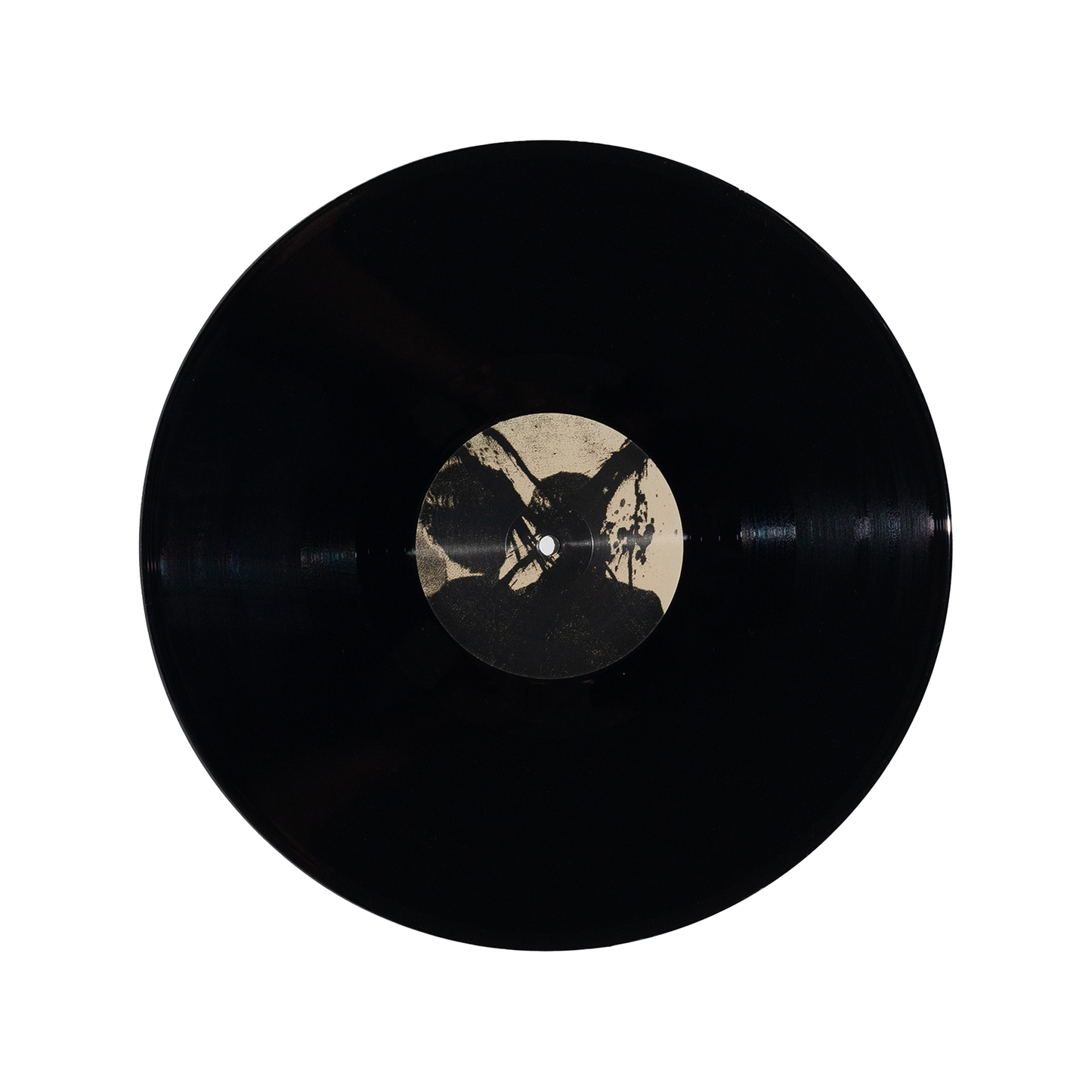 RECORD #7
