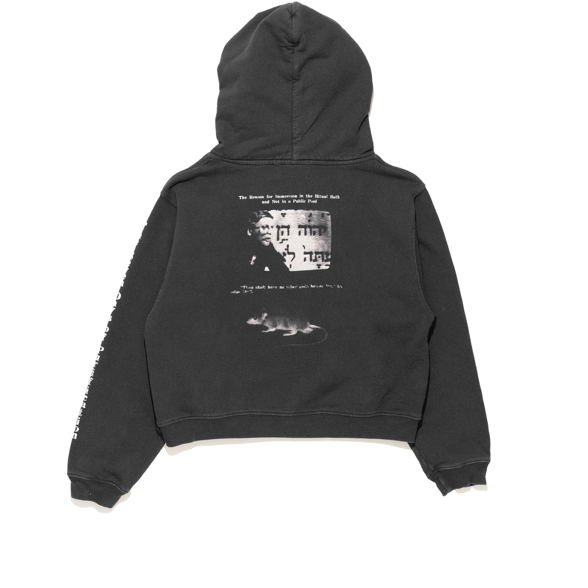 ABSTINENCE PETITE HOODIE