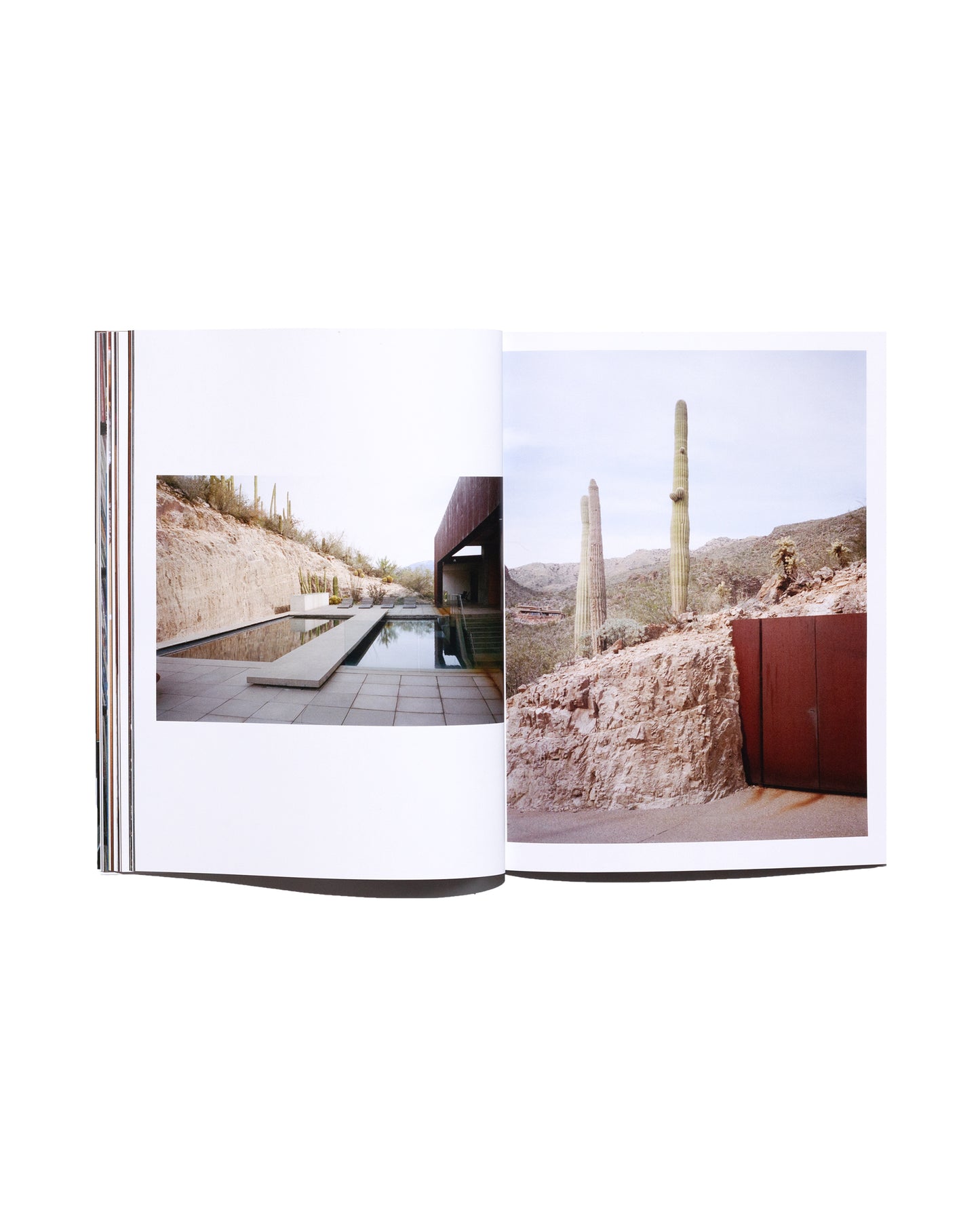 KING OF HATE BOOK