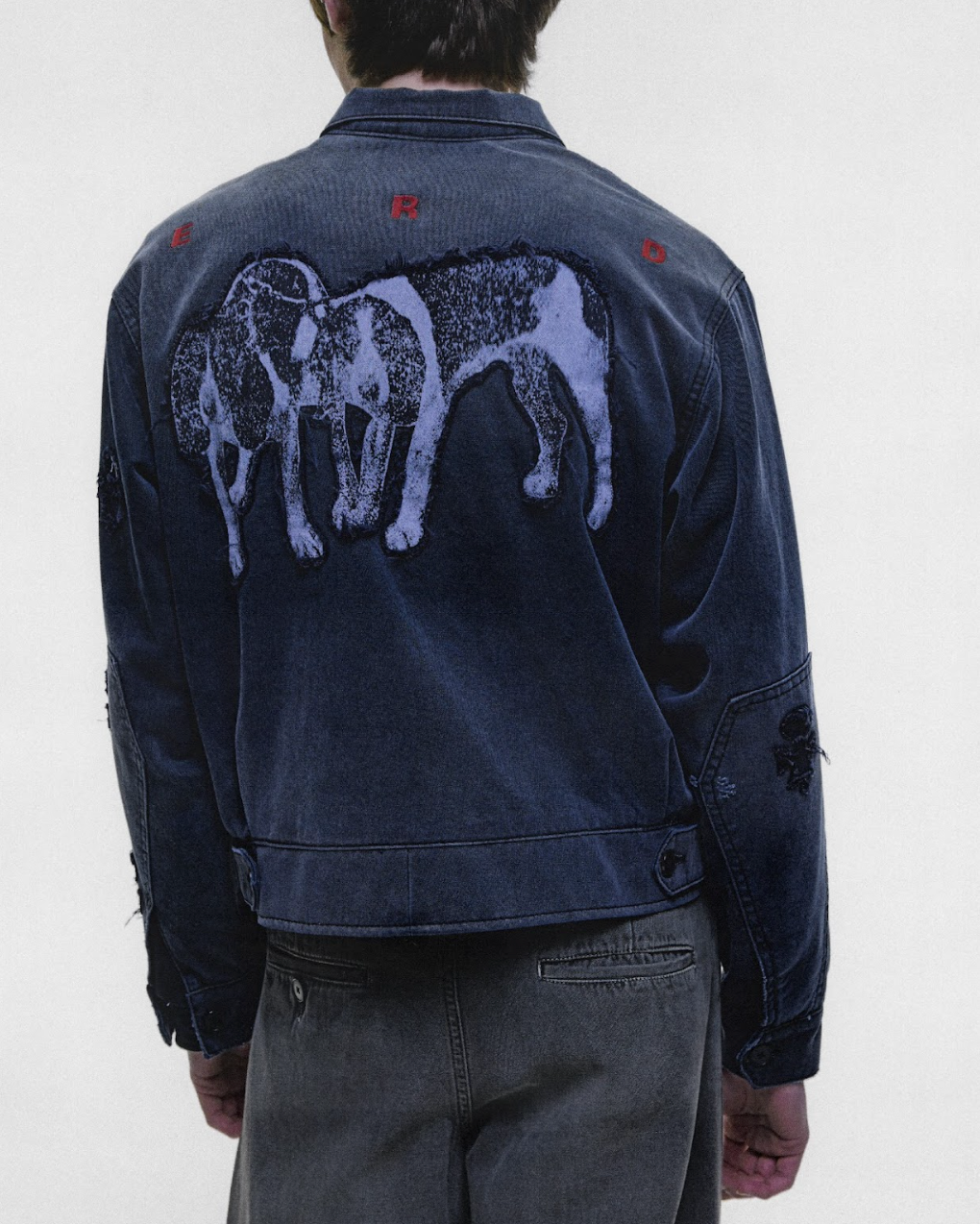 CHIENS DE CHASSE JACKET